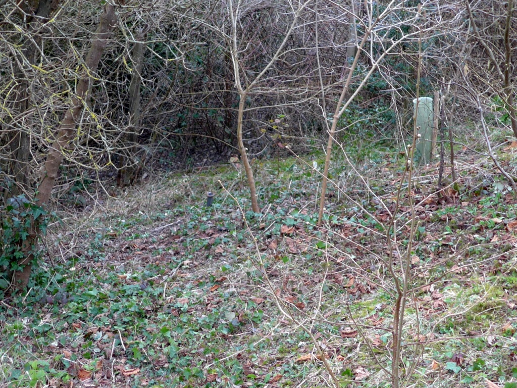 13. Cleared area below small pond